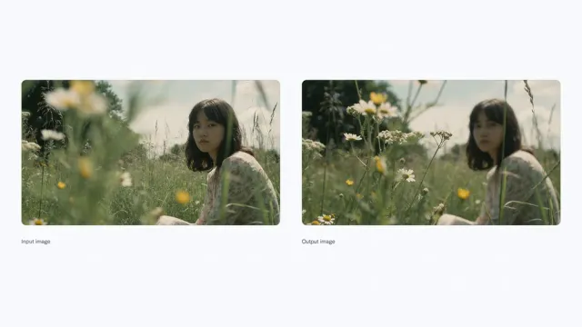 A woman in a flower field, then the same photo with the focus moved to the flowers